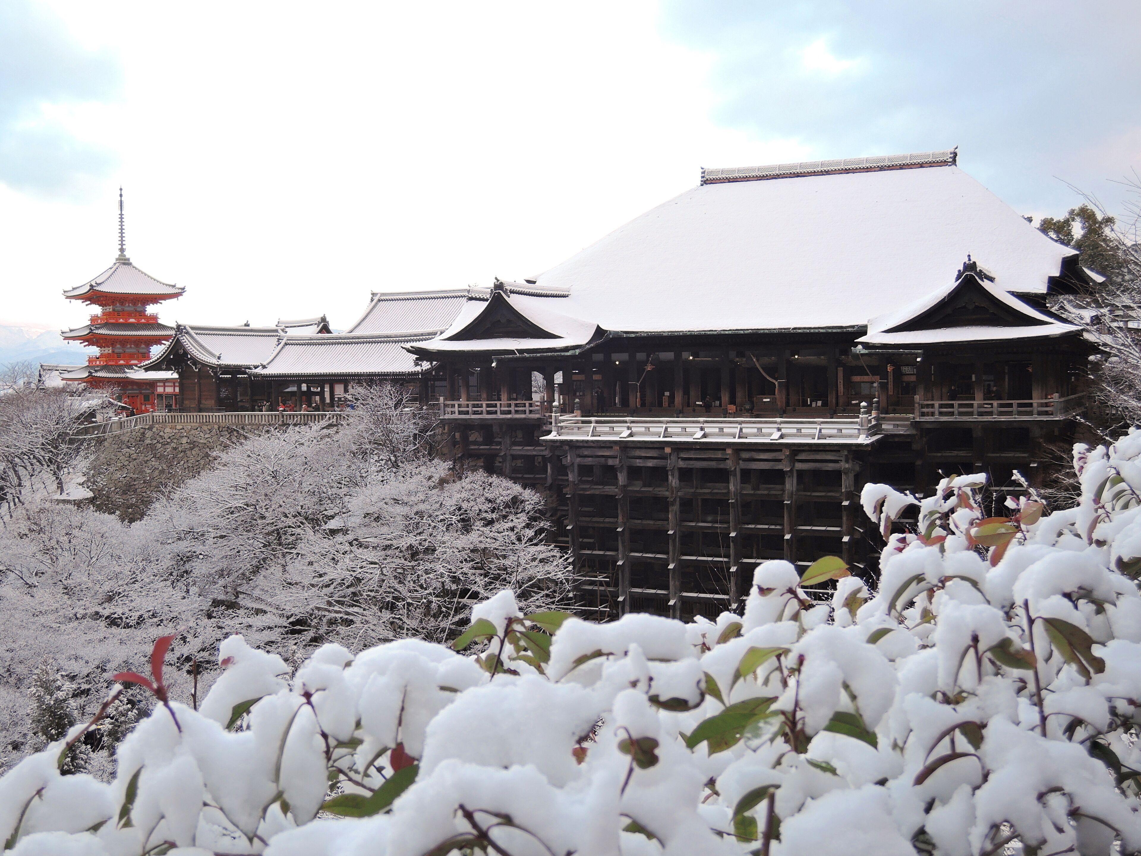 Eph Kyoto, Kyoto